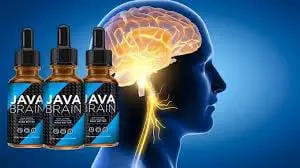 java brain supplement